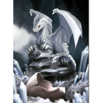 Royale Dragons >:p
