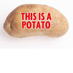 THE POTATO GROUP!