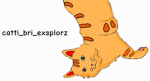 Catti_bri_exsplorz