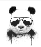 The Panda Experience