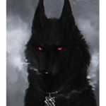 Wolves home