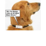 talking dog show