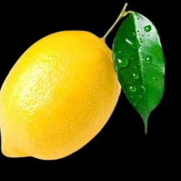 Lemonade night! icon