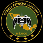 Fuerza Especial Conjunta (FEC)
