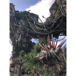 Disney is the best