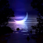 ~ m o o n l i g h t ~