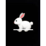 Bunny fans 123