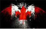 Canadian Elite Task Force [C.E.T.F.]