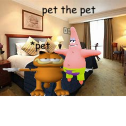 pet the pet