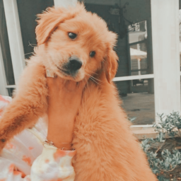 ✰