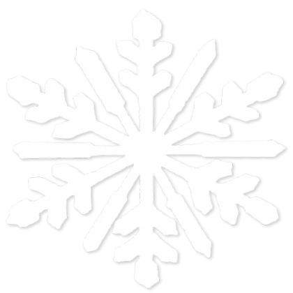 Snowflake NoFilter