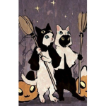 The cat witch group