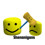 Shenanigans Experiences :)