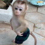 MaysonYT