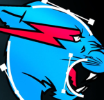 Mrbeast Epic Fans