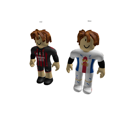 red/blue team