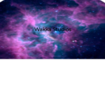 Wakka Studios