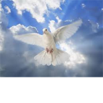The True Christians -We are the Jesus Lovers-
