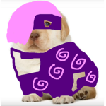 Followers of D O G