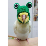 Cockatiel Studios