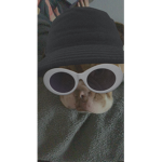 Bailey beans rocks!
