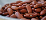 Find The Beans