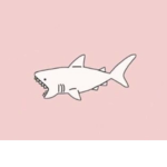 Shark group<3