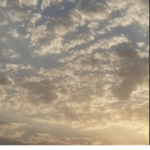 hala_111196