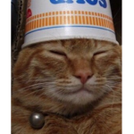 The Ramen Cats