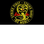 | cobra kai karate |