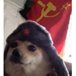 Russian Captain Rat