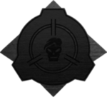 RSF : Rapid Response Team