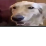 Budduh doug