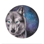 Galaxi Wolf Club