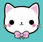 KittyCraze