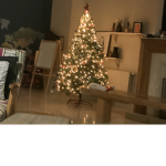 Christmas Miracle