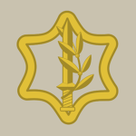 Israel Defense Forcеs
