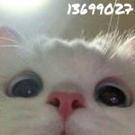‘rens