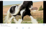 The Equestrians 3000