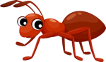 Happy funny ants hangout!