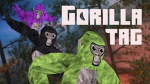 Gorilla Tag RBX
