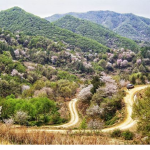 수동면ㆍ산촌