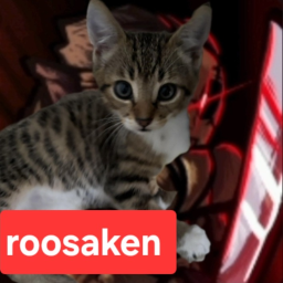 (rooster) roosaken