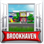 Nova’s Brookhaven Group