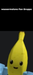 Wassermelone Fan Gruppe