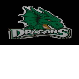 Dragon boss battle (Demo) icon
