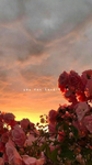-<3flower}-