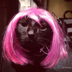 KittyKvntz