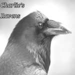 Charlie's Ravens