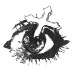 ;yasuhiro